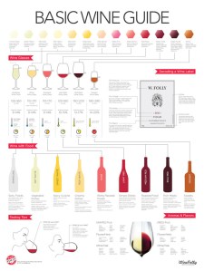 Wine Folly Guide