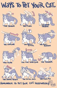 Ways to Pet Your Cat