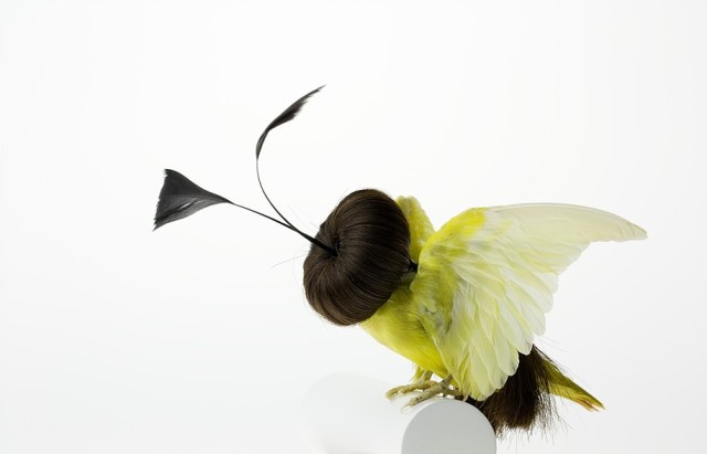 Bizarrely Augmented Taxidermy Bird Sculptures