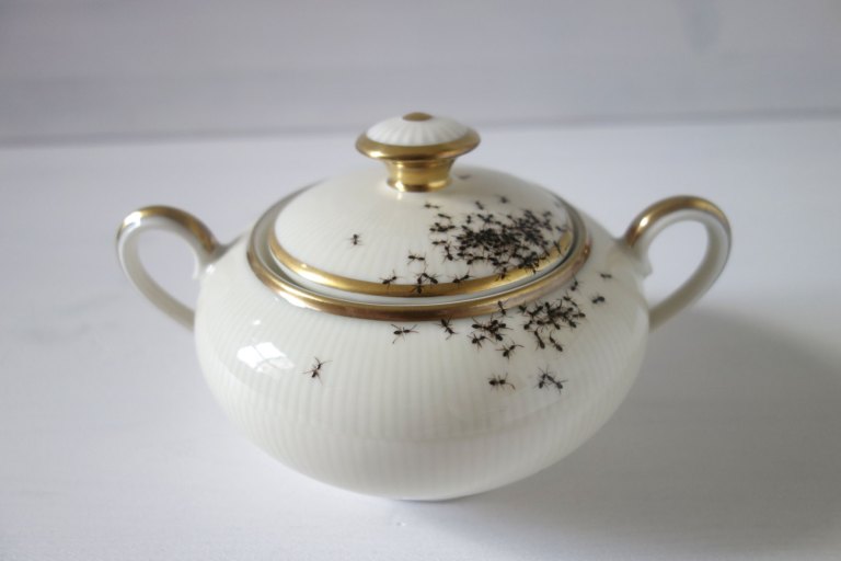 Ant Sugar Dish