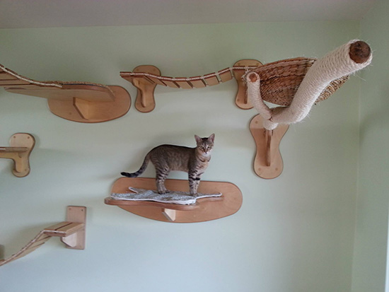 Elaborate Elevated Cat Perches And Suspended Walkways