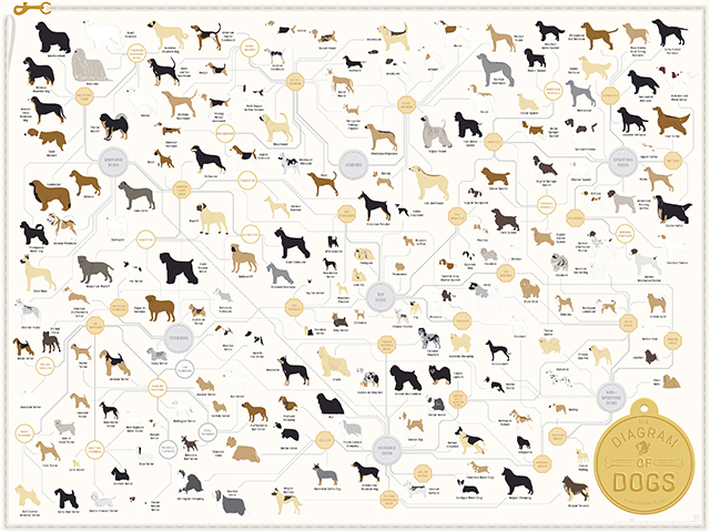 The Diagram of Dogs by Pop Chart Lab