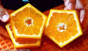 Pentagonal Shaped Iyokan Fruit