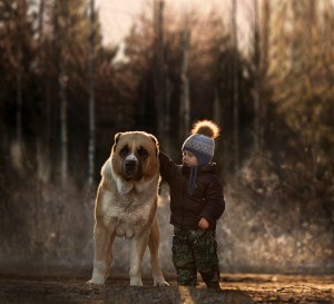 Dog & Boy