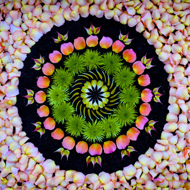 Flower Mandalas by Kathy Klein