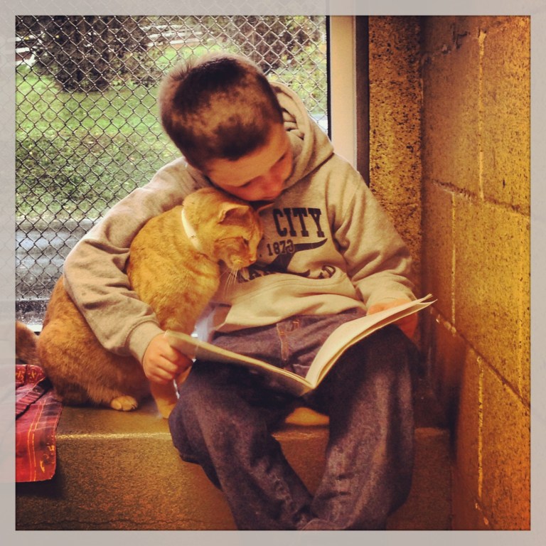 Book Buddies at ARL Berks County