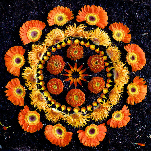 Flower Mandalas by Kathy Klein