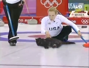 Cat Curling