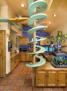 Cat Paradise Kitchen