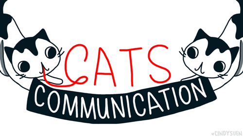 Cats Communication