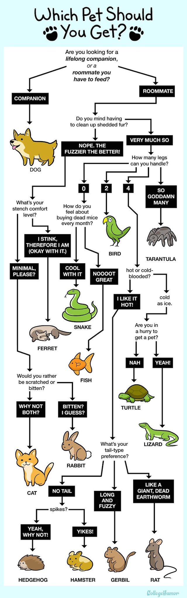 A Handy Flowchart To Determine Which Pet Is Best