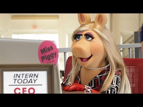 Awkward Moments Only Interns Understand Featuring The Muppets