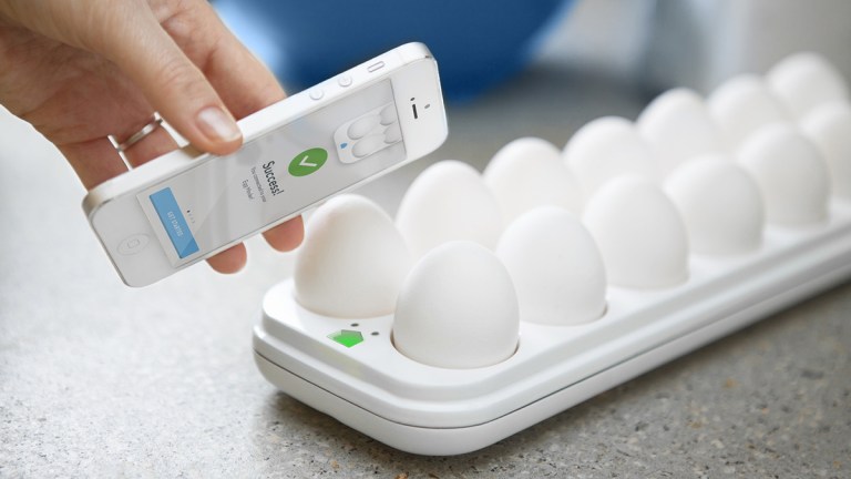 Egg Minder Tray