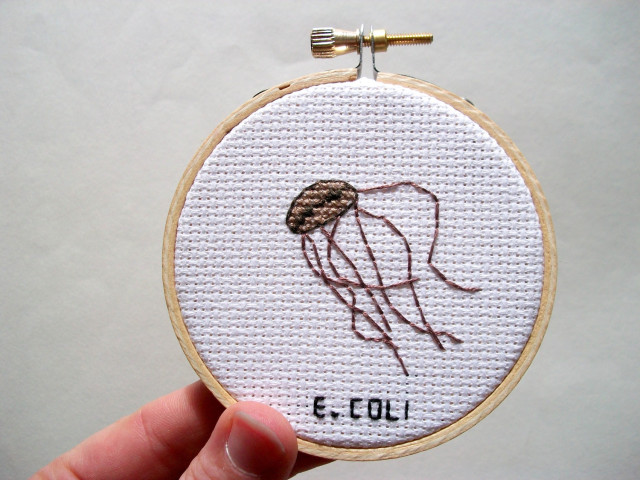 Microbe and Virus Embroideries
