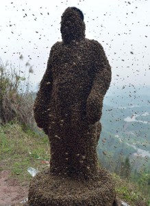 Chinese Beekeeper Wears 500,000 Bees