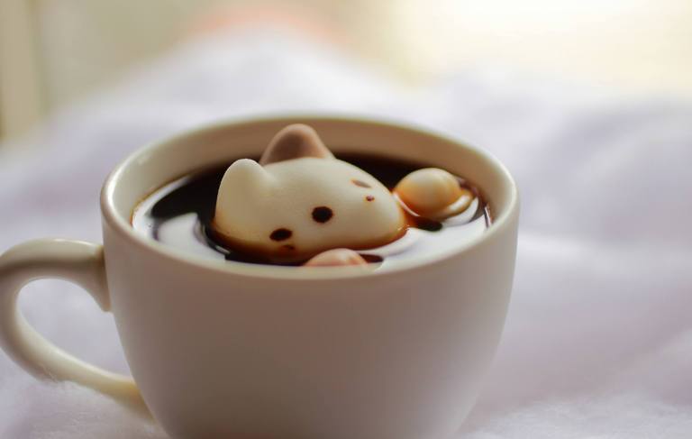 Marshmallow Cat in Cafe au Lait