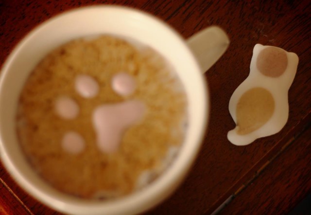 Paw Print In Coffee