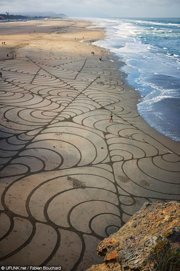 Mussels II Sand Art by Andres Amador