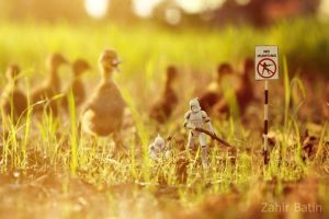 Zahir Batin Ducks Star Wars Figures
