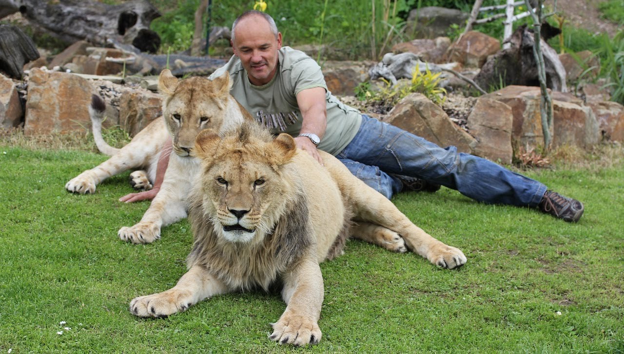 Czech Man Lives With Two Rescued Lions In Remote Mountain Ranch Home