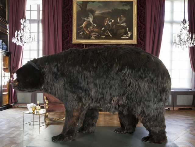 Artist Is Living Inside a Taxidermy Bear