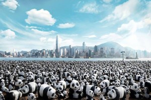 1600 Giant Pandas