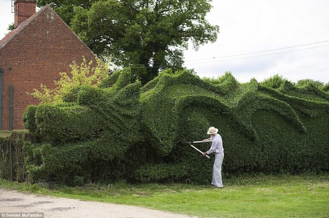 Massive Dragon Hedge Topiary