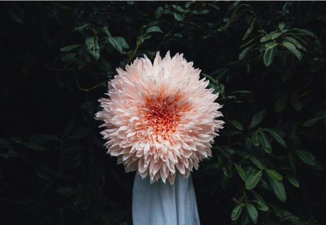 Giant Papercraft Flower Blossom Sculptures by Tiffanie Turner