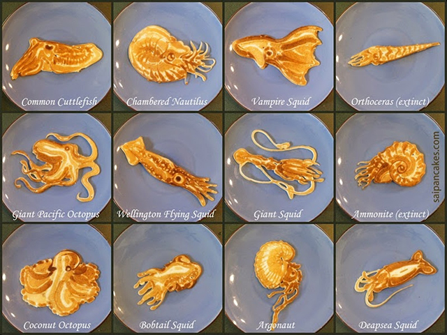Cephalopod Pancakes