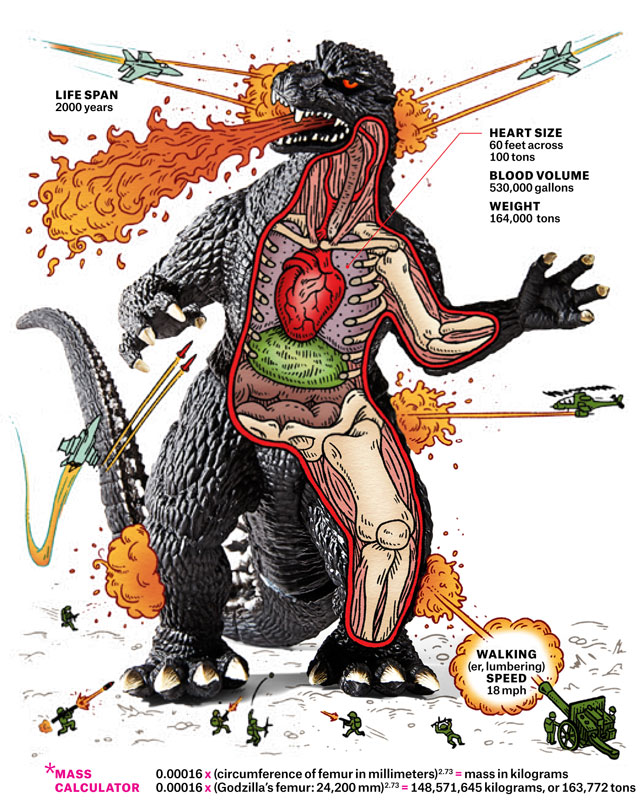 Anatomical Guide Exploring the Impossible Biology of Godzilla