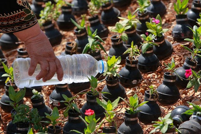 Palestinian Woman Plants Tear Gas Canister Flower Garden