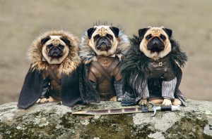 Robb Stark, Ned Stark and Jon Snow