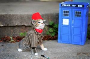 Doctor Who Kittie