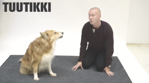 Dogs React Amusingly to A Human Barking Like A Dog