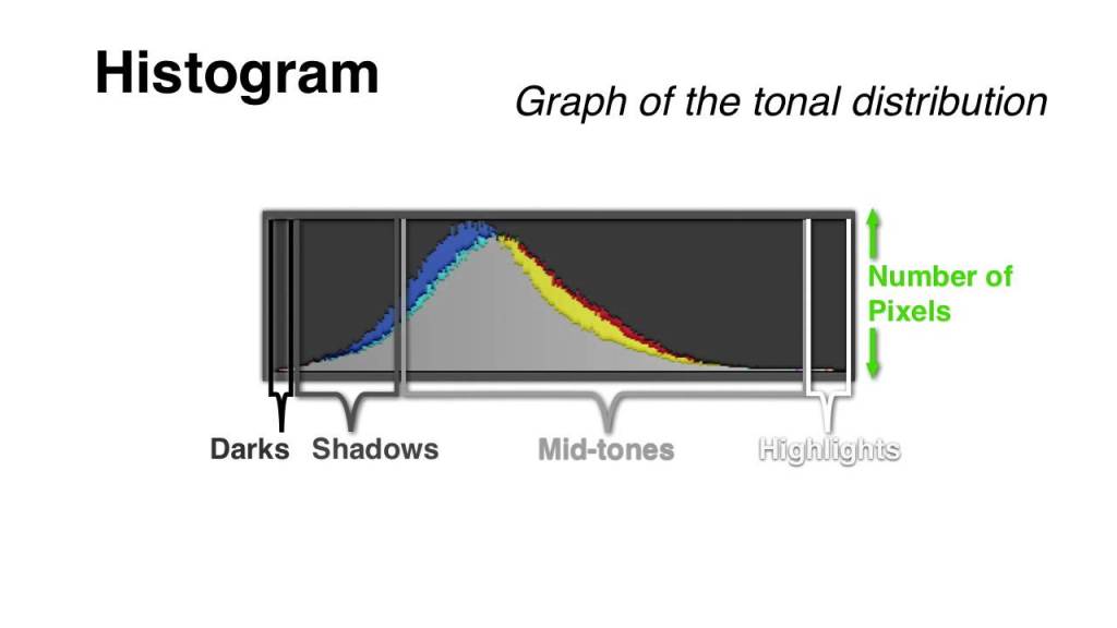 An Explanation of What a Camera Histogram Graph Is and How It Can Help