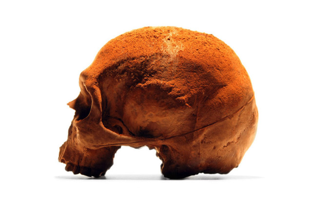 Life-Size Chocolate Replica of a Human Skull