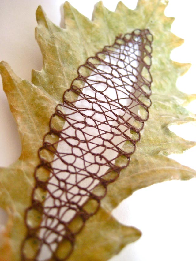 Embroidered Leaves by Hillary Fayle