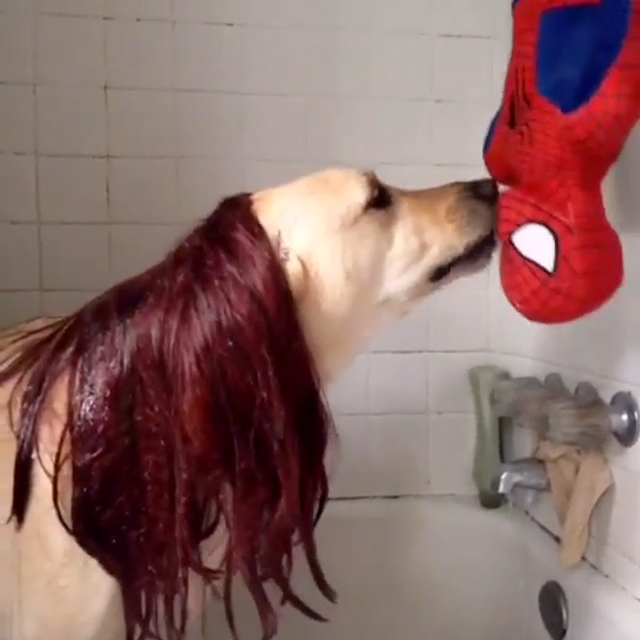 Pete does the Spiderman kiss