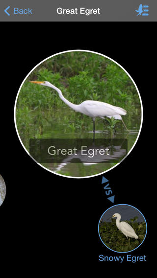 Birdsnap Birdwatching App
