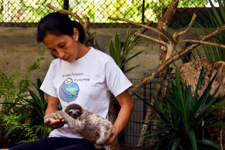 Yiscel with Baby Sloth