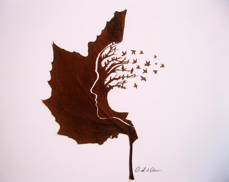 Beautifully Intricate Cut Leaf Art by Omid Asadi