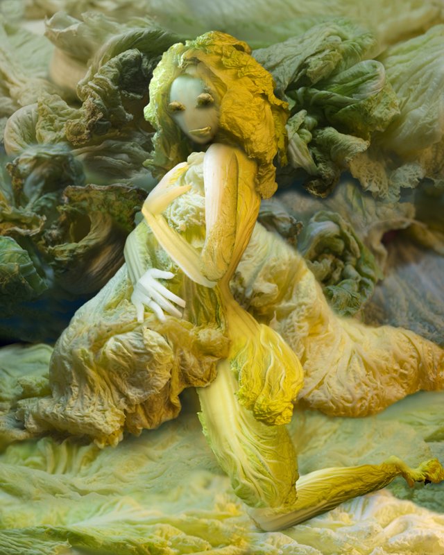 Chinese Cabbage Girls by Ju Duoqi