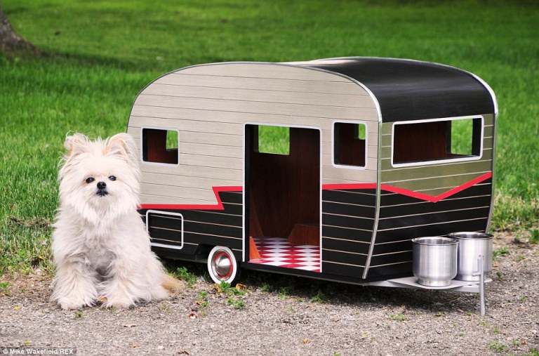 Pet Camper