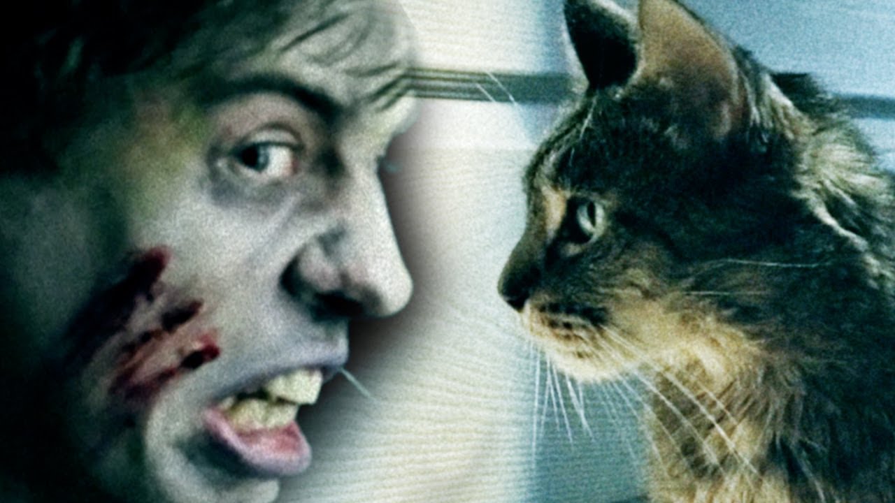 Люди против кошек. Котики против зомби. Кот против человека. Собака против зомби котов.
