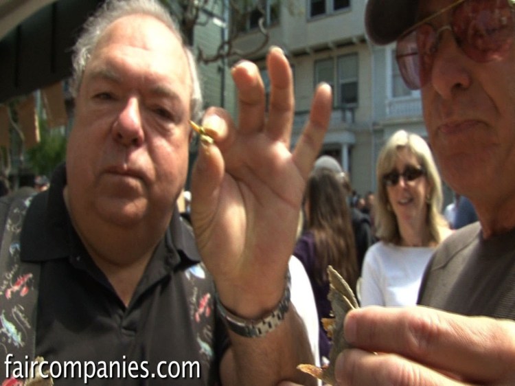 Don Bugito Serves Wax Moth Larvae Tacos & Mealworm Ice Cream