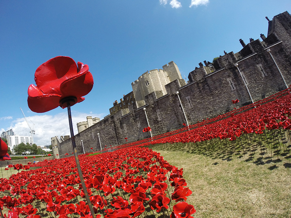 an-eerie-installation-of-888-246-ceramic-poppies-at-the-tower-of-london