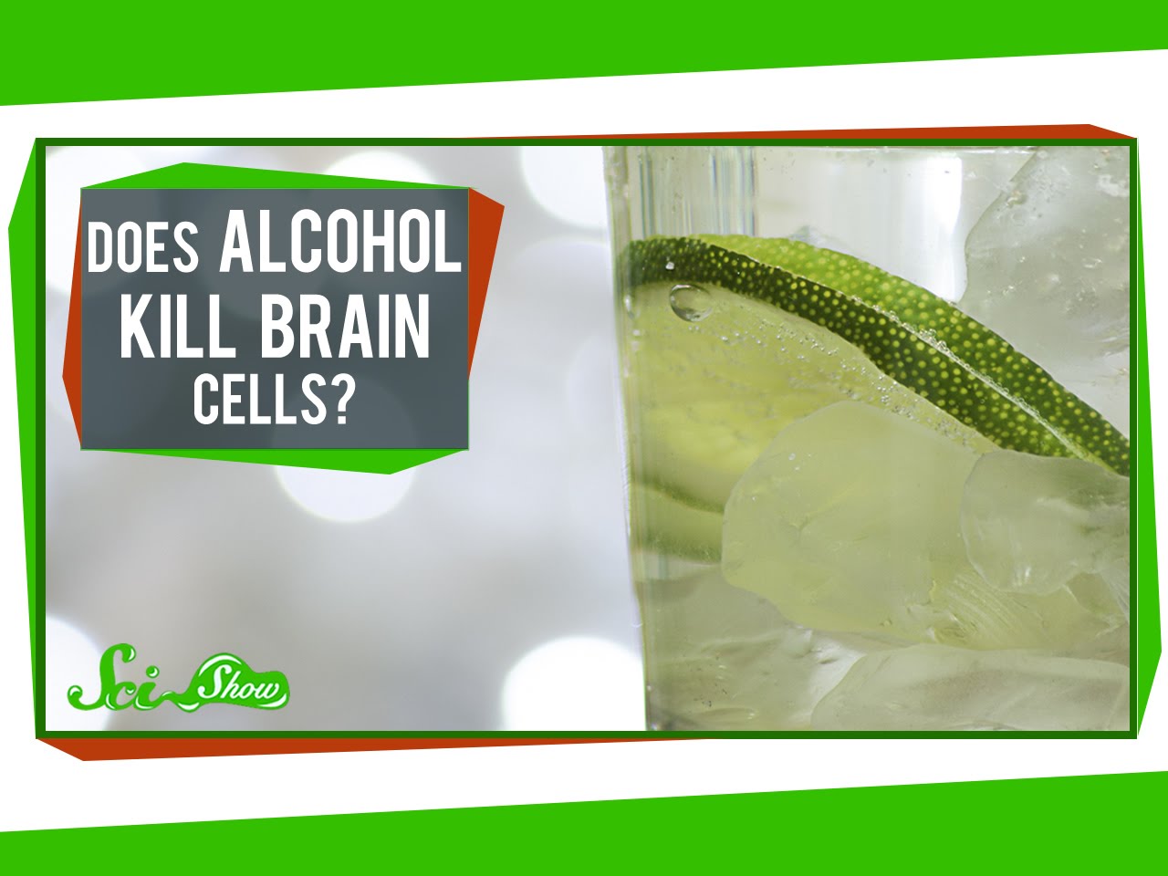 SciShow Explains What Drinking Large Amounts of Alcohol Does and Does Not Do to Our Brain Cells