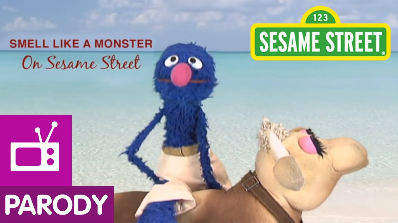 Sesame Street Parody of the Old Spice Guy Ads