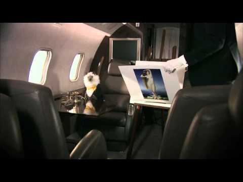 That s Vaginal a Campaign to Make Vaginal the New Awesome That s Vaginal a Campaign to Make Vaginal the New Awesome