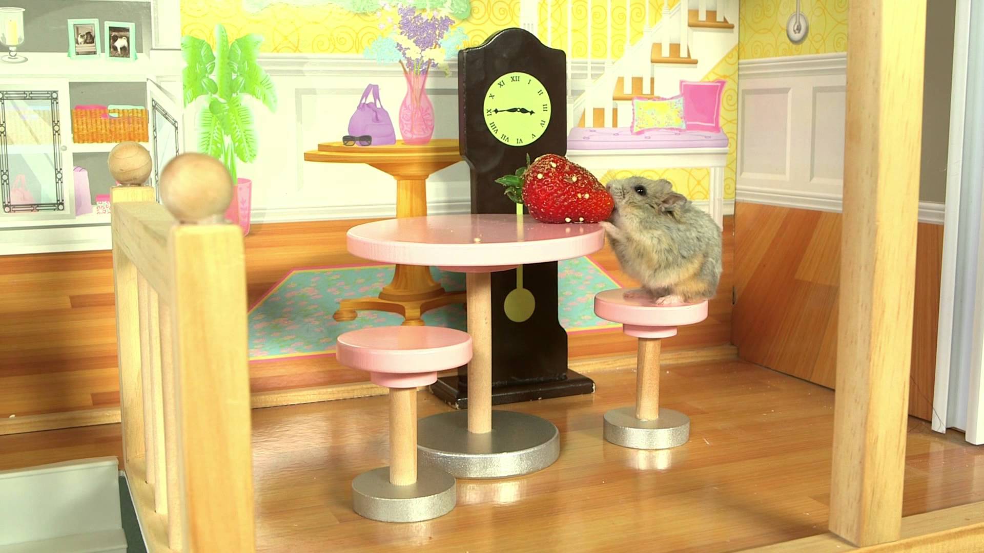 hamster tiny house